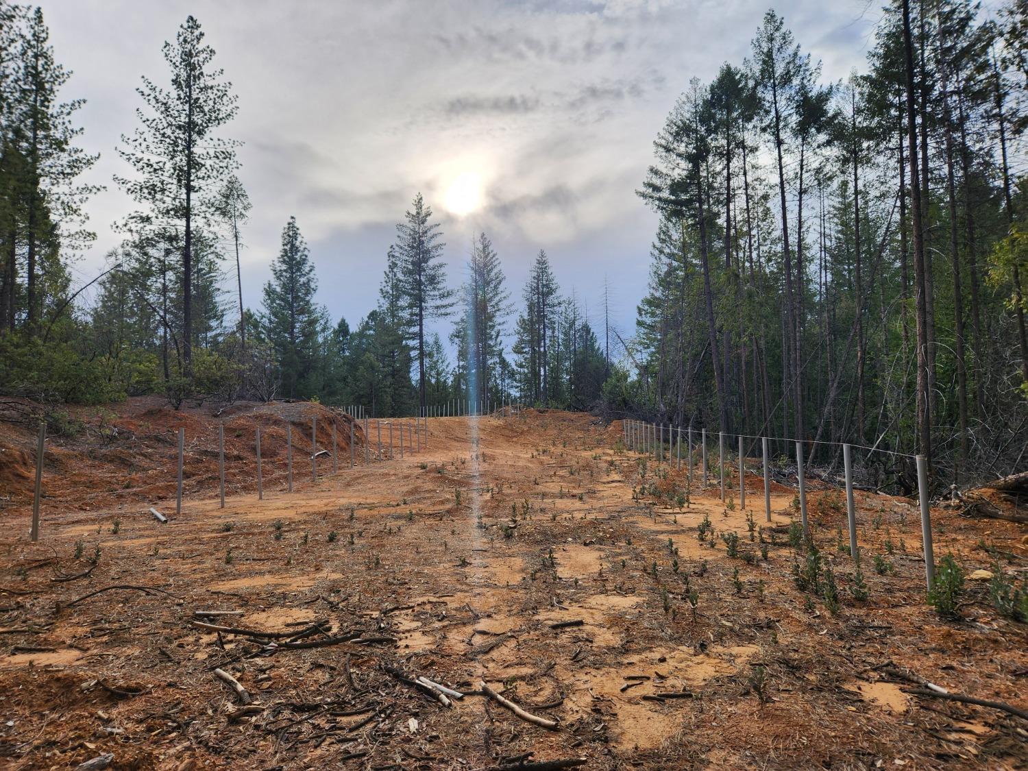 3030 Springwood Georgetown, CA 95634 - Photo 22 of 29