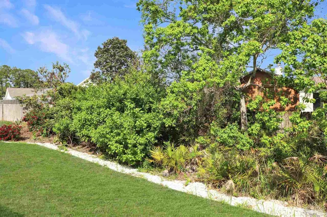 a view of a yard with plants and a bench
