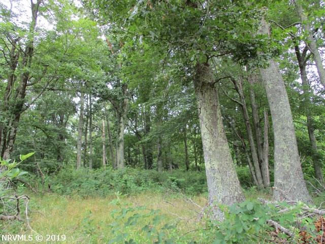 0 Buffalo Mountain Road Southwest Meadows Of Dan, VA 24120 - Photo 17 of 22 Gallery Image 17