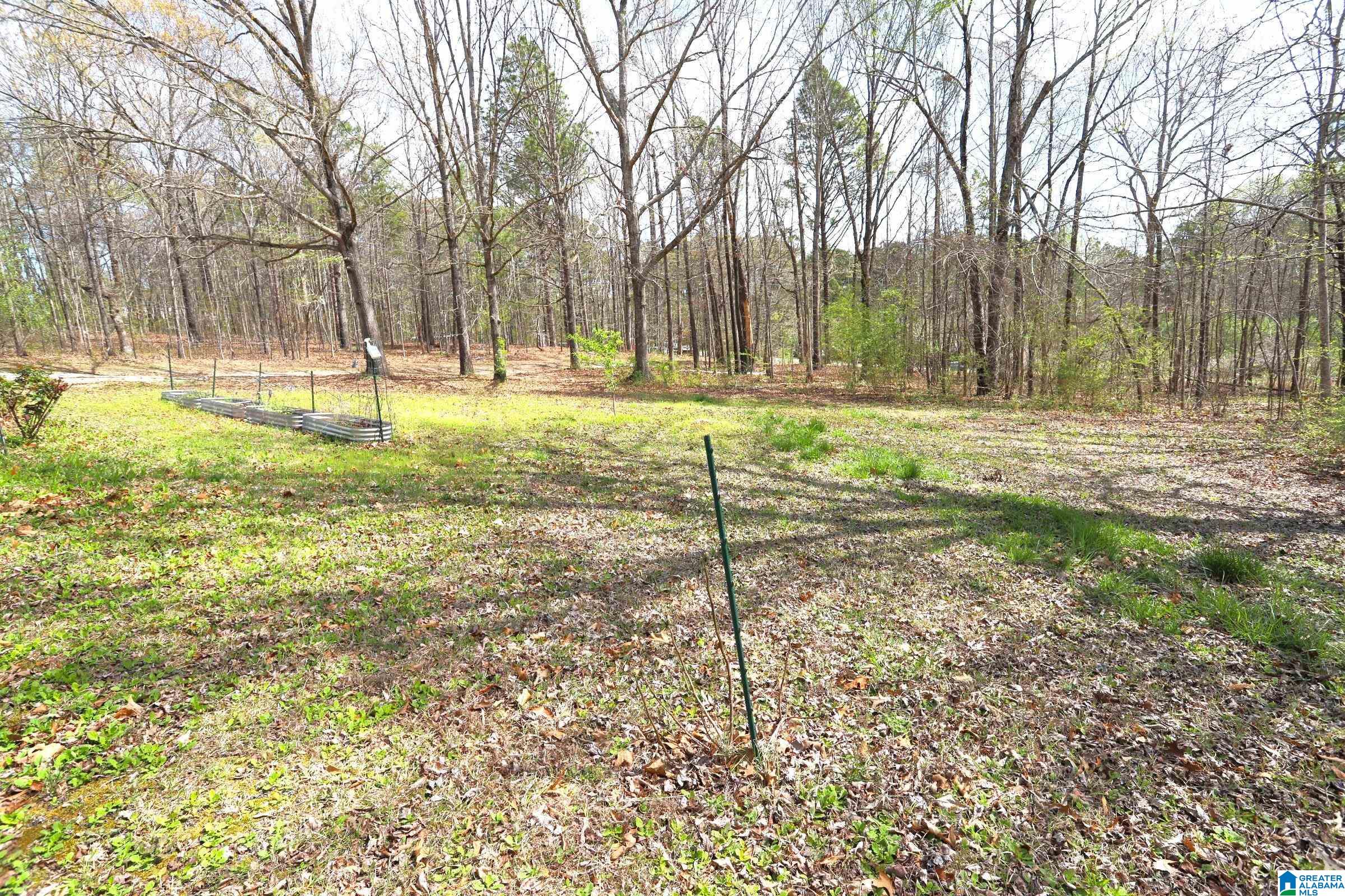 166 Rock Store Road Sylacauga, AL 35150 - Photo 10 of 41