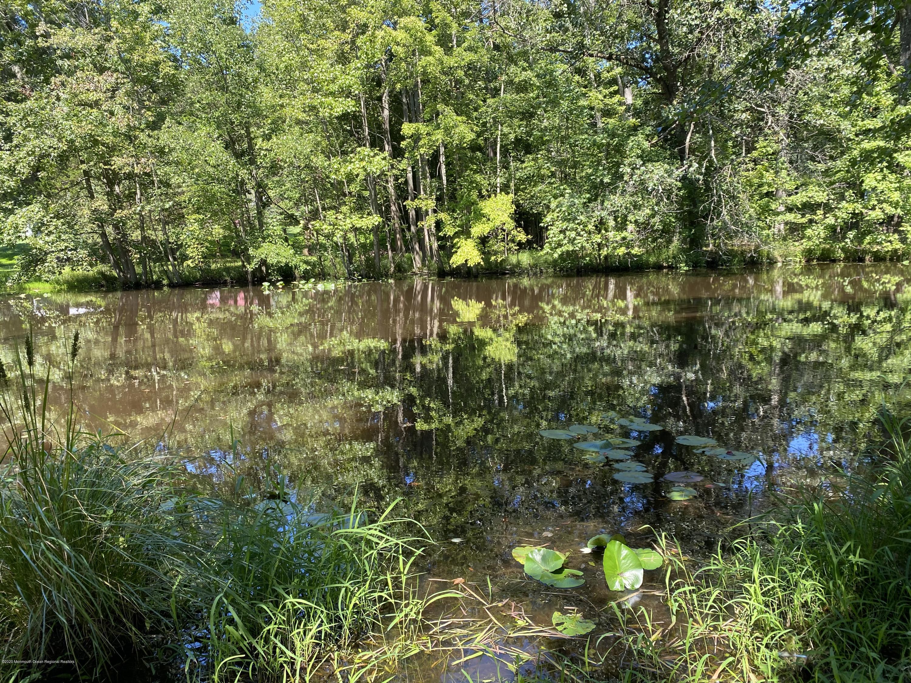 436 Stagecoach Road Millstone Township, NJ 08510 - Photo 14 of 97 a close up of a tree in a garden