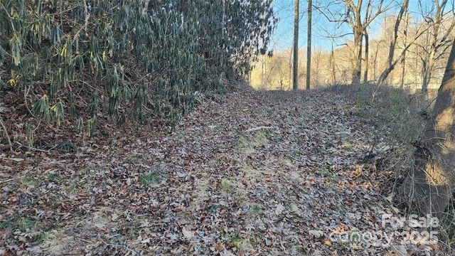 $52,000 | 4 Coke Candler Lane, Candler, NC 28715