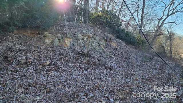 $52,000 | 4 Coke Candler Lane, Candler, NC 28715