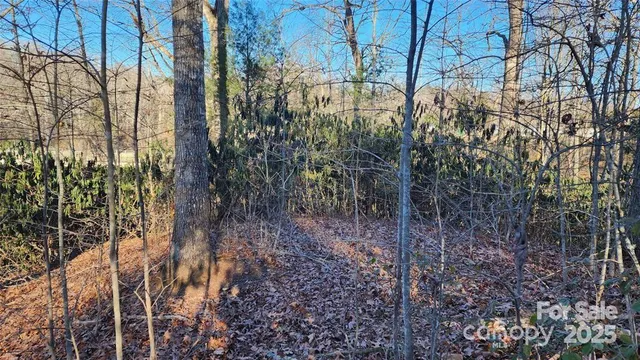 $52,000 | 4 Coke Candler Lane, Candler, NC 28715