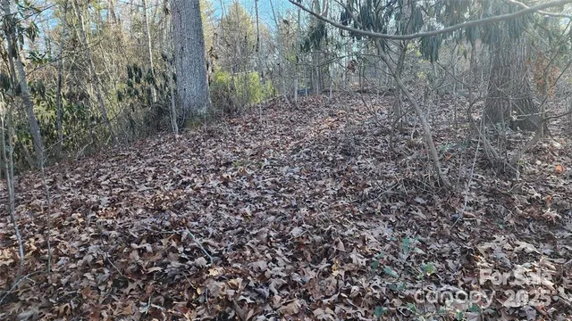 $52,000 | 4 Coke Candler Lane, Candler, NC 28715