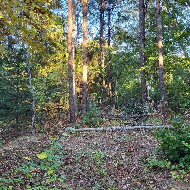 10 Tecumseh Road Bourne, MA 02562 - Photo 3 of 10