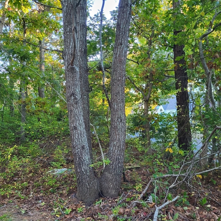 10 Tecumseh Road Bourne, MA 02562 - Photo 5 of 10