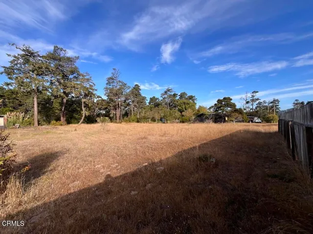 a view of yard covered with snow in the background