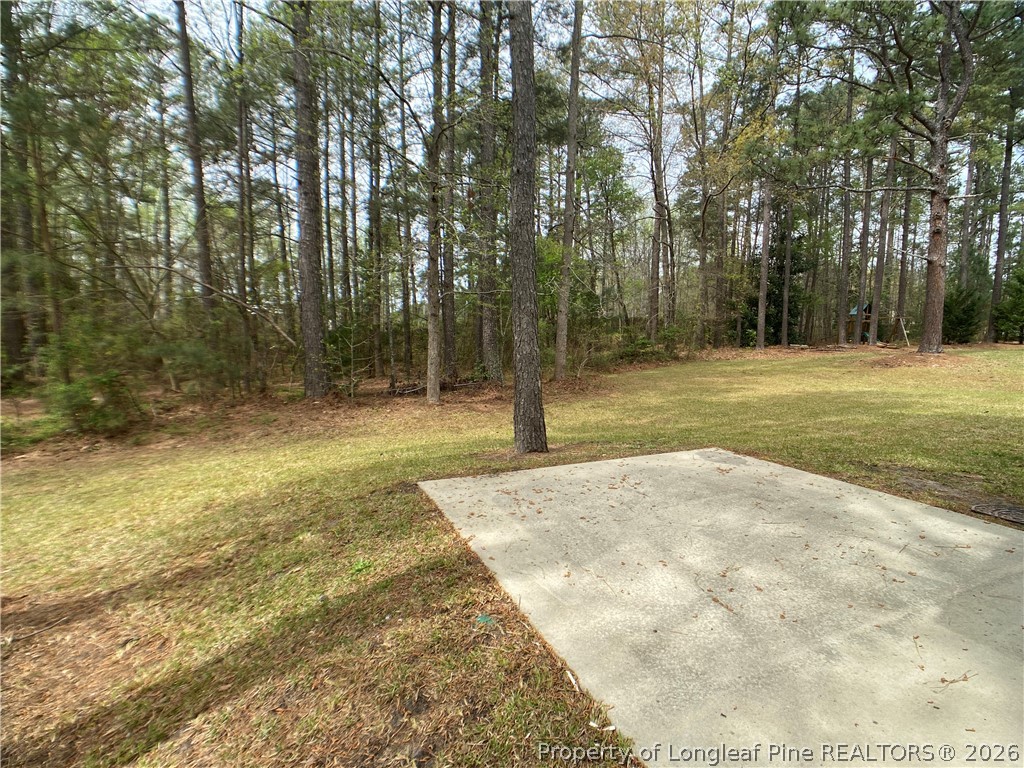 56 Orchard Falls Drive Spring Lake, NC 28390 - Photo 23 of 24 a view of a yard with trees