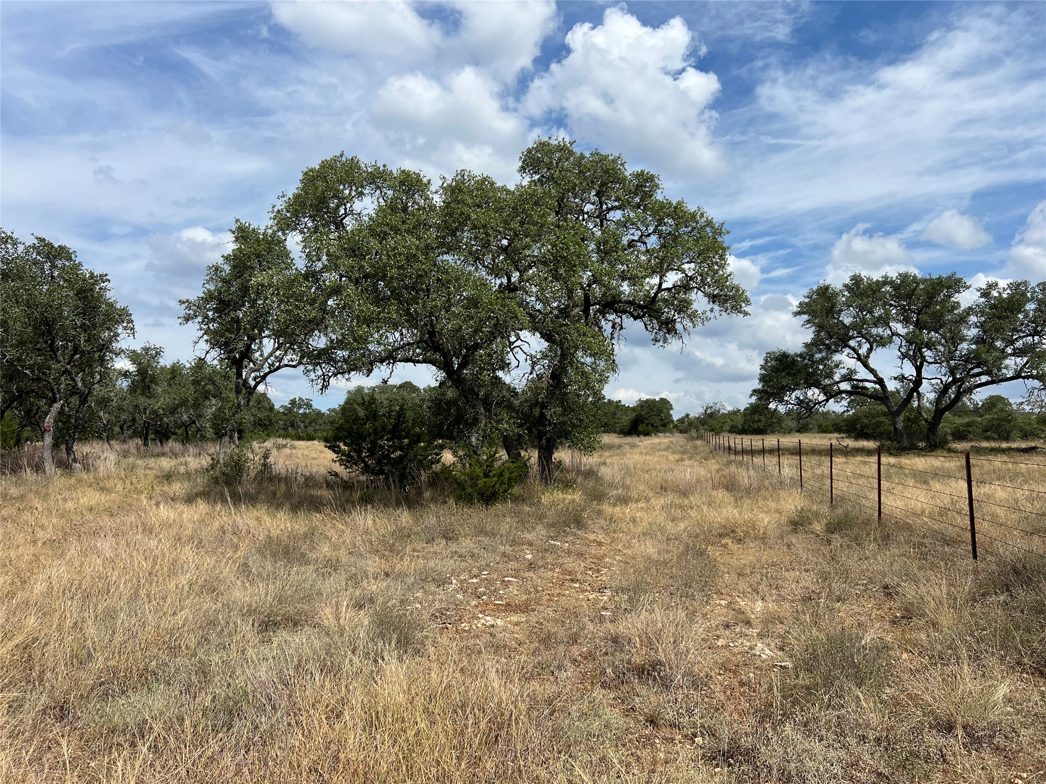 992 Hines Br Road Blanco, TX 78606 - Photo 8 of 23 Back fence line(EAST)