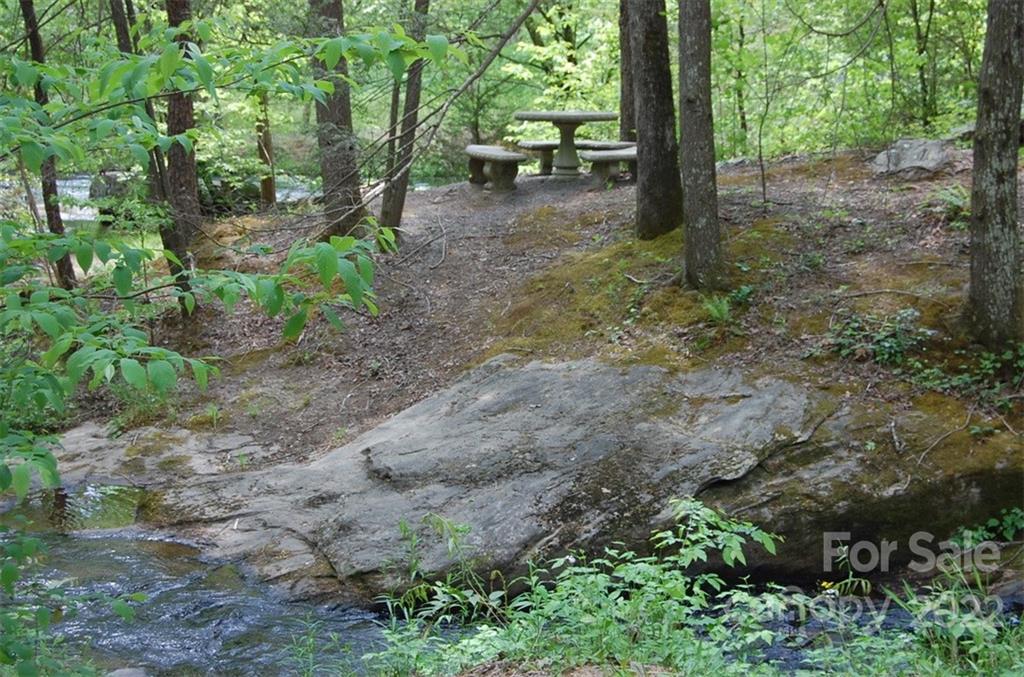 231 Amy Ridge Road Lake Lure, NC 28746 - Photo 12 of 23 a view of a forest with trees in the background