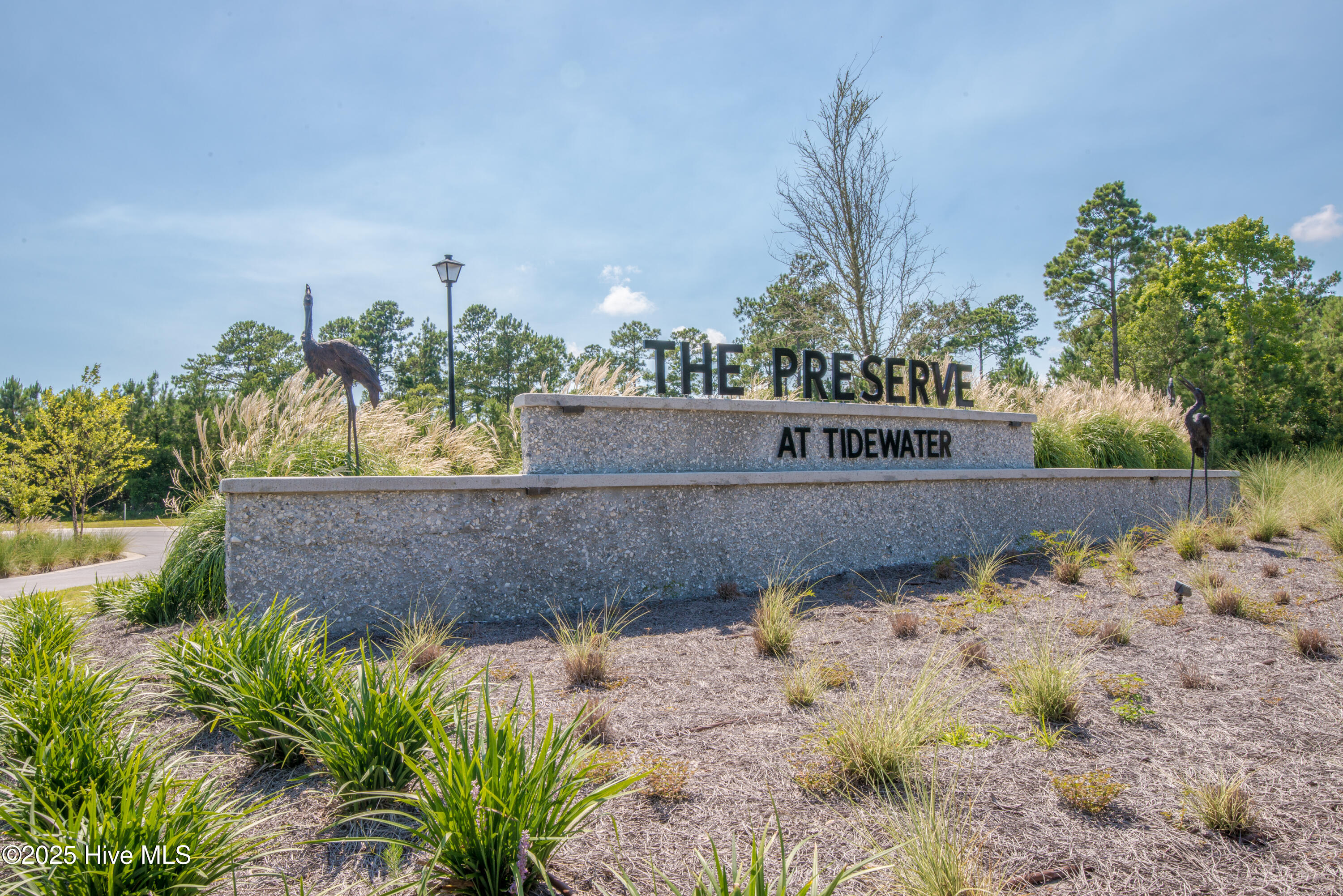 608 Needlerush Road Sneads Ferry, NC 28460 - Photo 10 of 13 DSC_2162