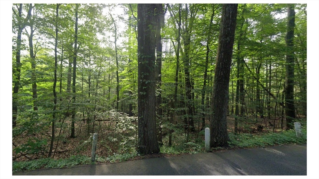 0 Pantry Road West Hatfield, MA 01088 - Photo 2 of 3 a view of forest