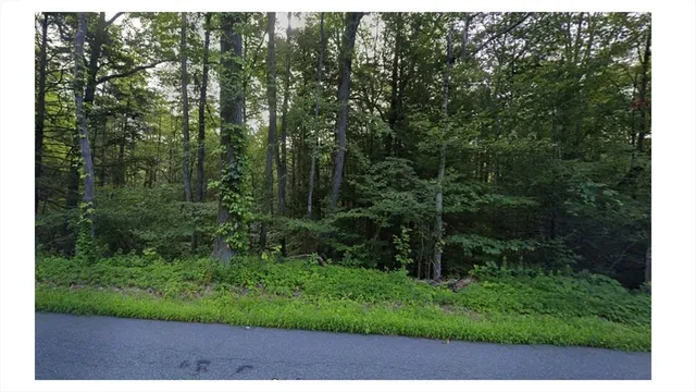 a view of a back yard