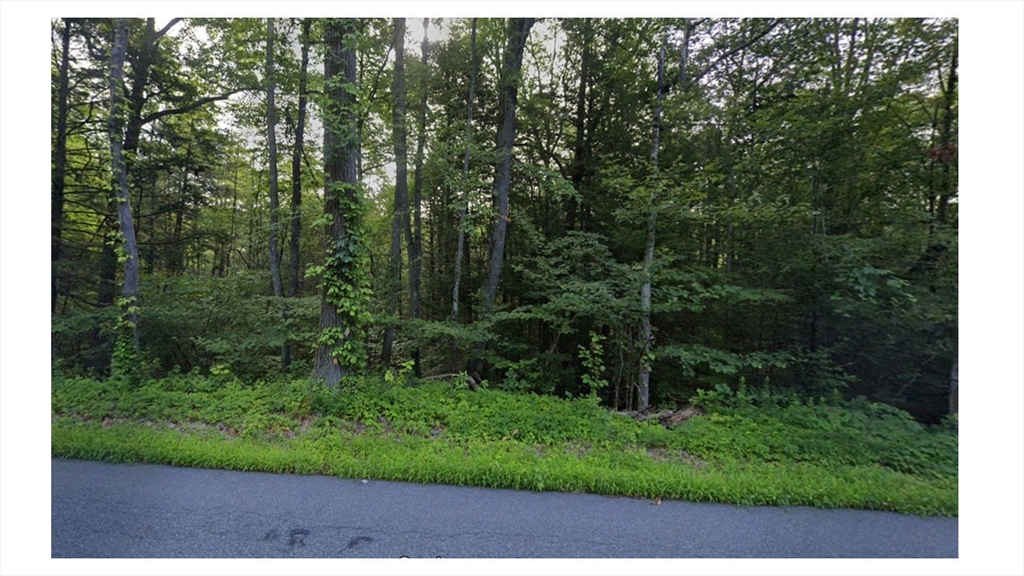 0 Pantry Road West Hatfield, MA 01088 - Photo 3 of 3 a view of a back yard