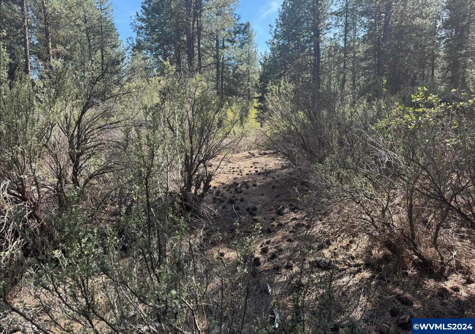Lot 3 North Waterview Way Chiloquin, OR 97624 - Photo 4 of 8