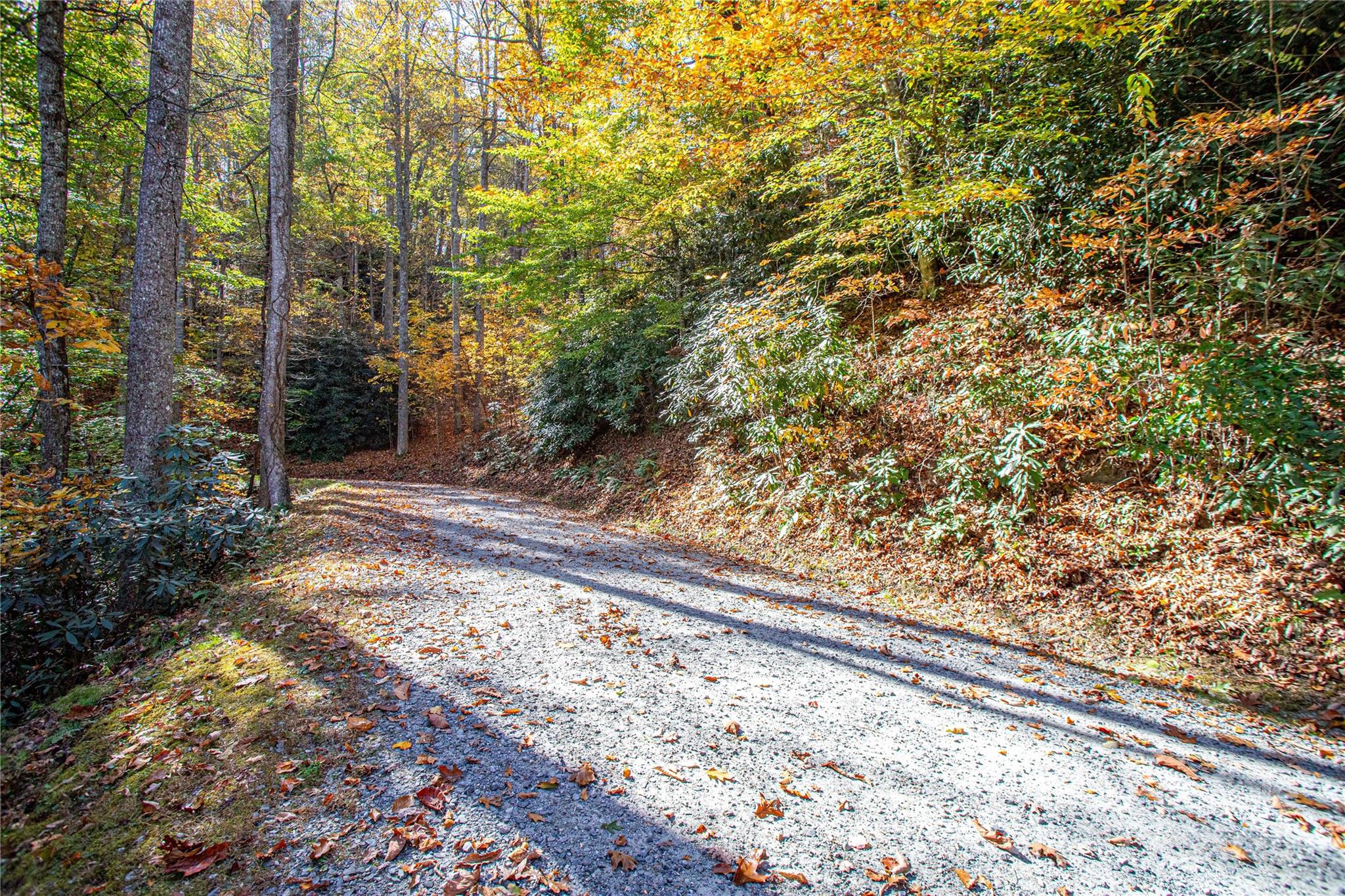 Tbd Tbd Reserve Road, Unit 9A Pisgah Forest, NC 28768 - Photo 1 of 15 a view of a yard with trees