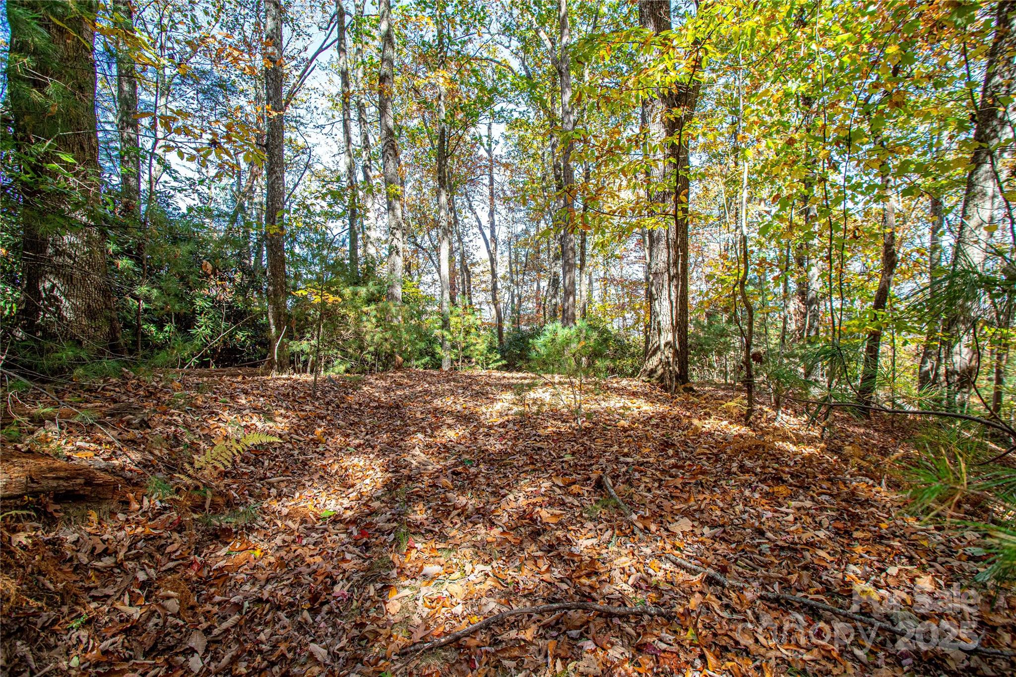 Tbd Tbd Reserve Road, Unit 9A Pisgah Forest, NC 28768 - Photo 11 of 15 a view of outdoor space and yard