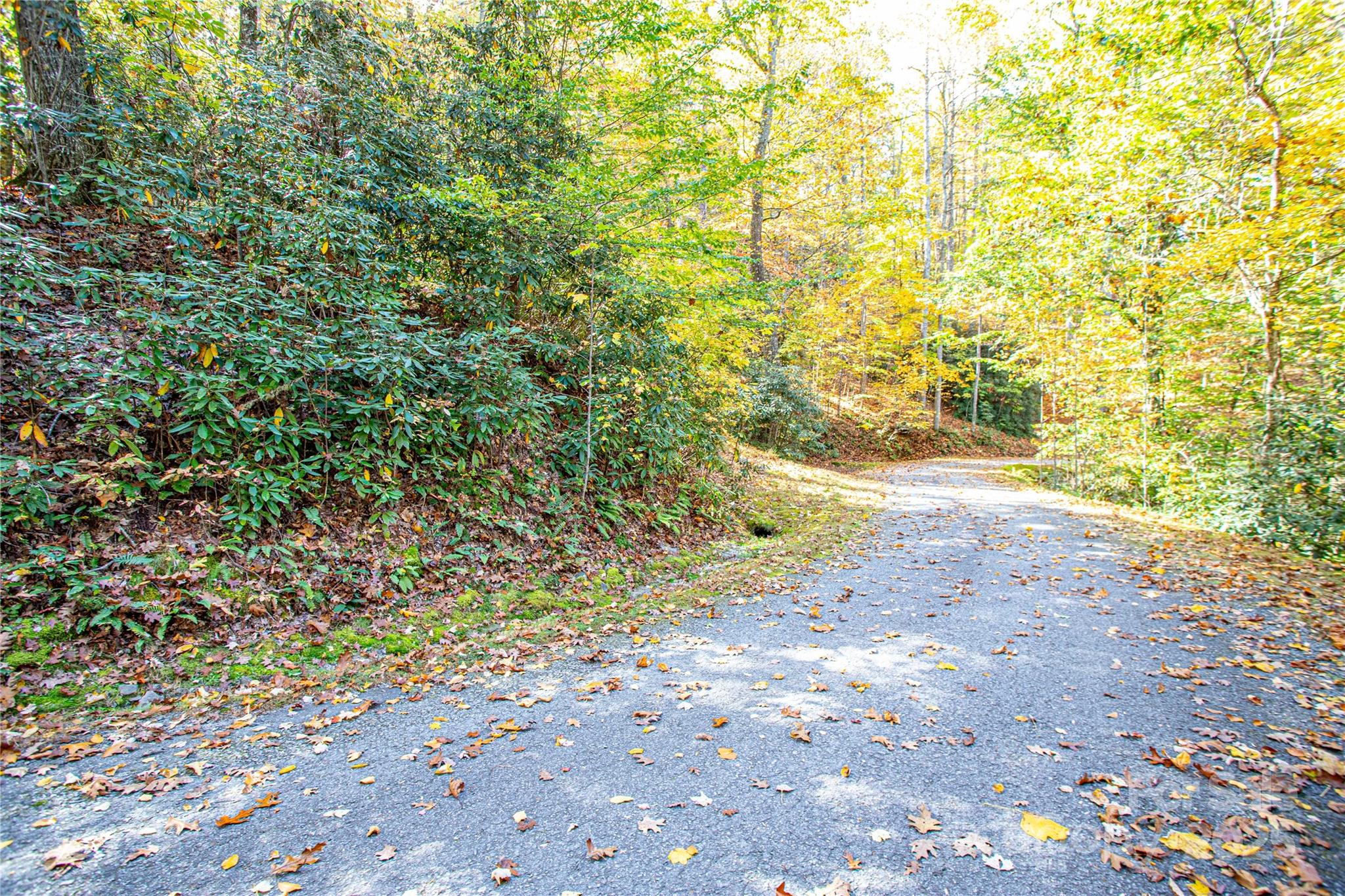 Tbd Tbd Reserve Road, Unit 9A Pisgah Forest, NC 28768 - Photo 2 of 15 a view of a yard with a tree