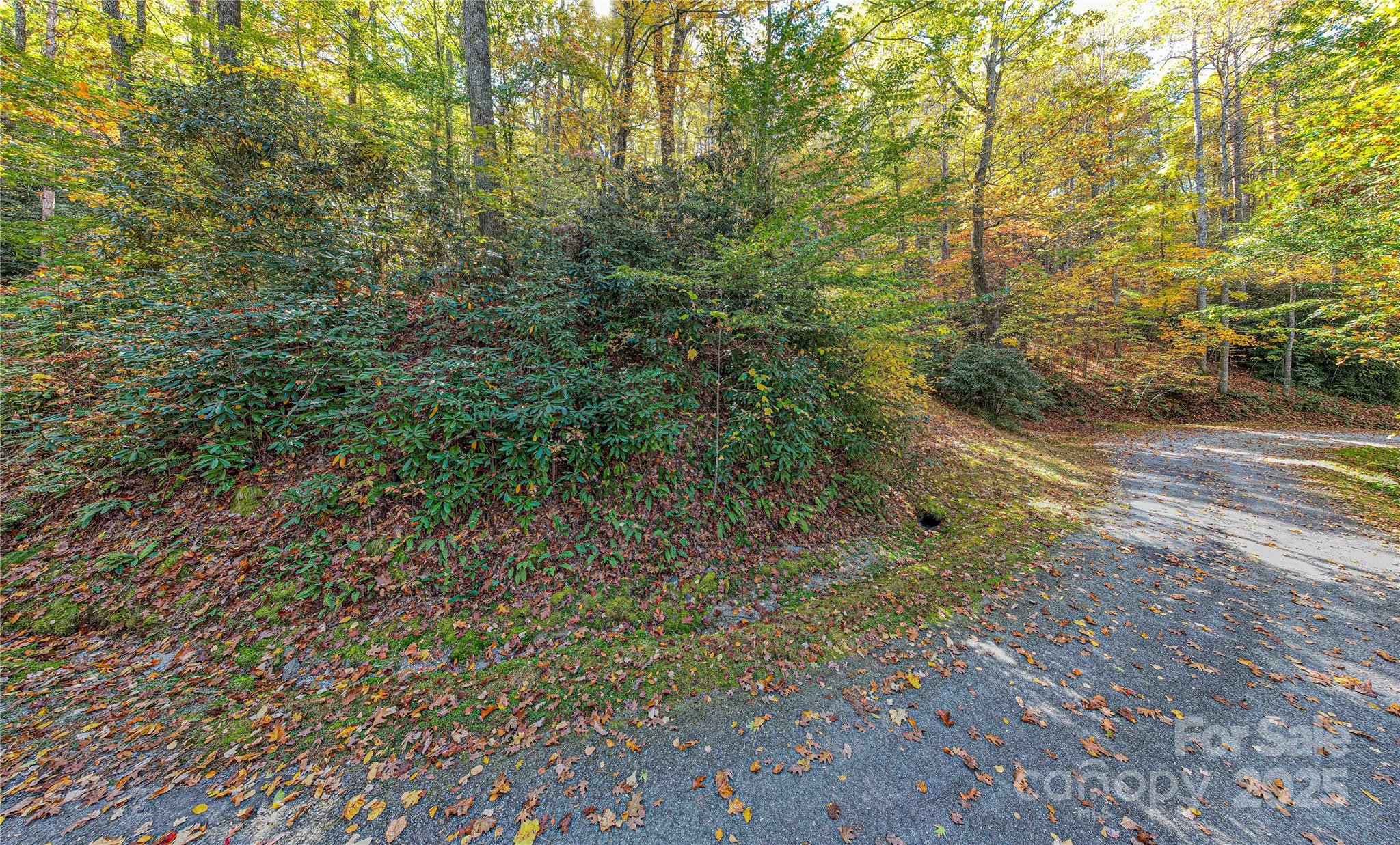 Tbd Tbd Reserve Road, Unit 9A Pisgah Forest, NC 28768 - Photo 3 of 15 a view of a yard with trees