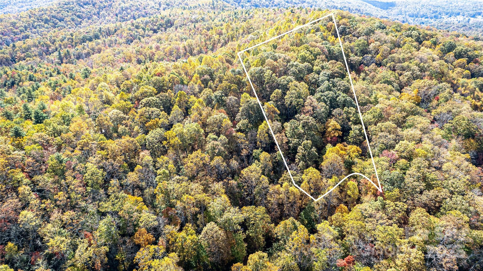 Tbd Tbd Reserve Road, Unit 9A Pisgah Forest, NC 28768 - Photo 4 of 15 a view of a field