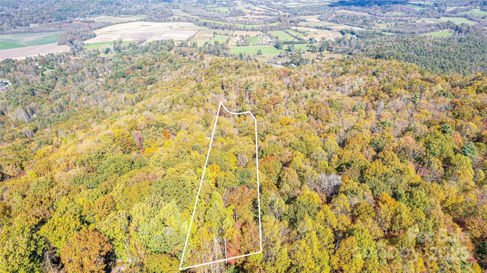 Tbd Tbd Reserve Road, Unit 9A Pisgah Forest, NC 28768 - Photo 6 of 15