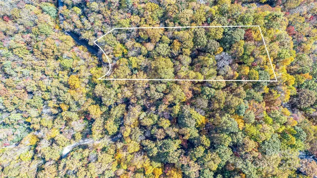a view of a forest with trees