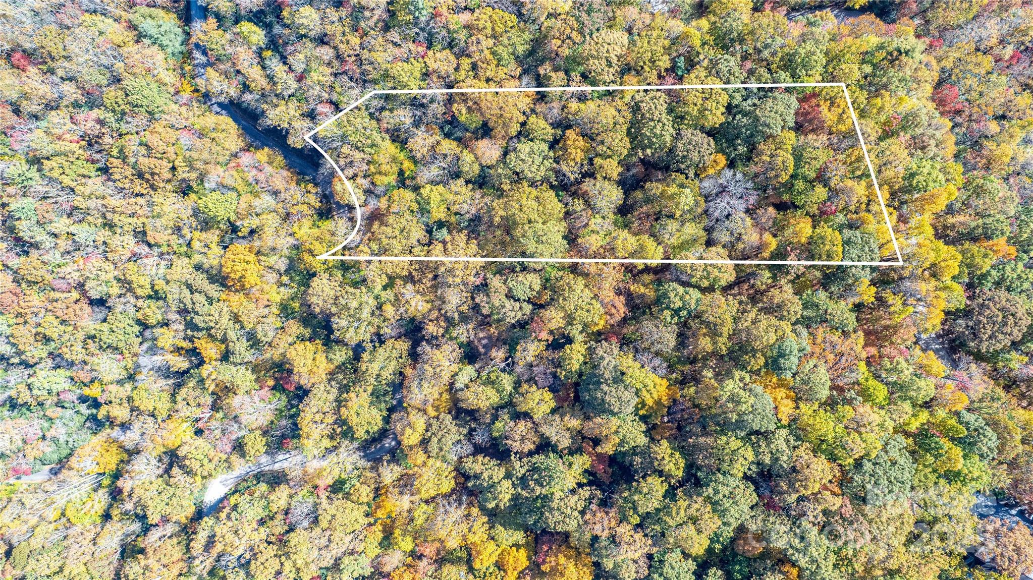 Tbd Tbd Reserve Road, Unit 9A Pisgah Forest, NC 28768 - Photo 7 of 15 a view of a dry yard