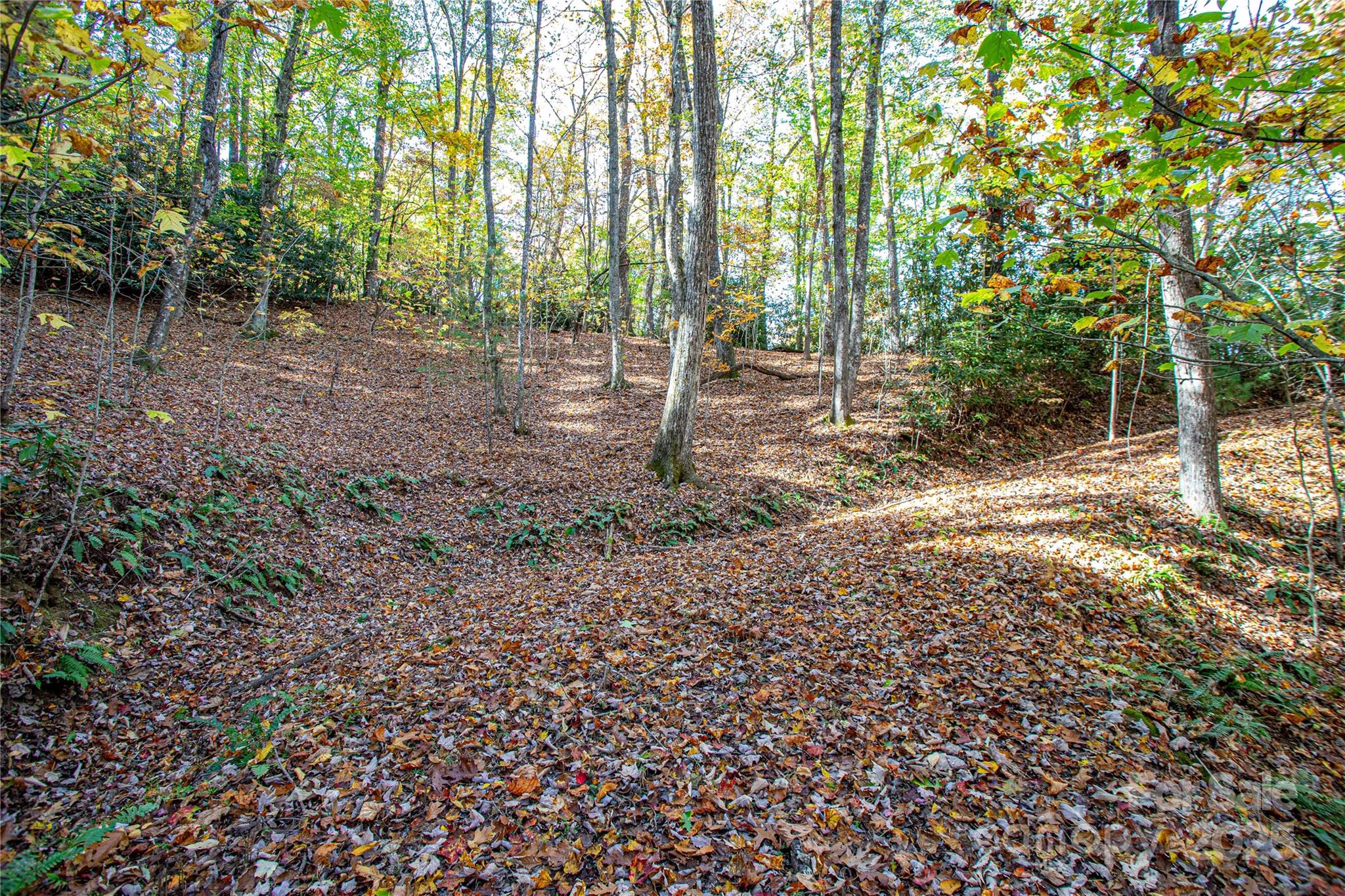 Tbd Tbd Reserve Road, Unit 9A Pisgah Forest, NC 28768 - Photo 10 of 15 a backyard of a house with lots of green space