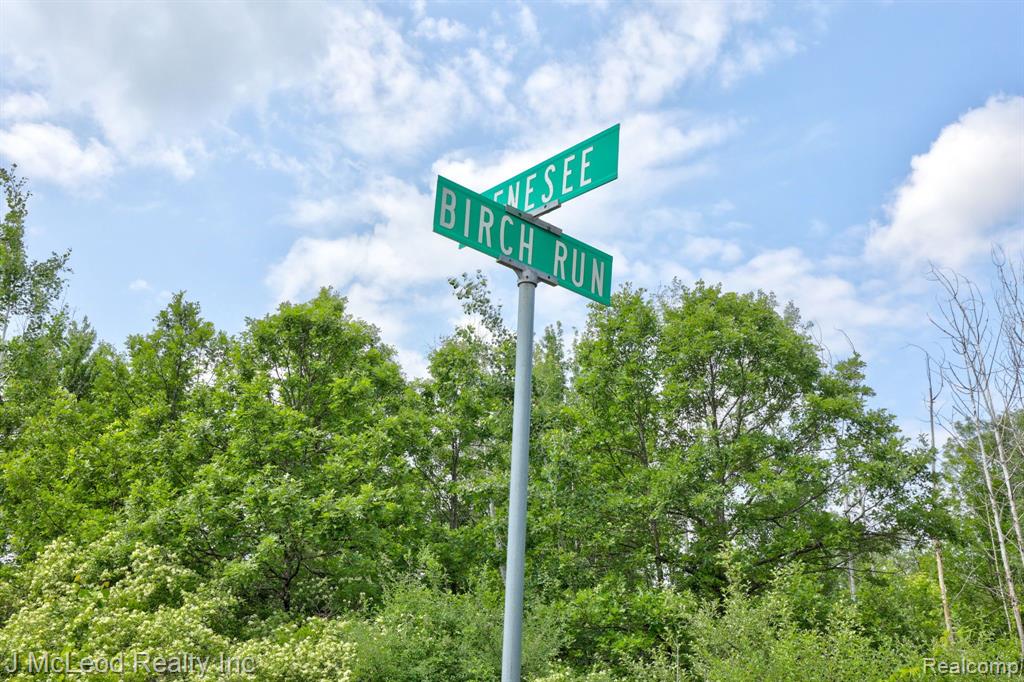0330 Birch Run Road Millington, MI 48746 - Photo 28 of 34