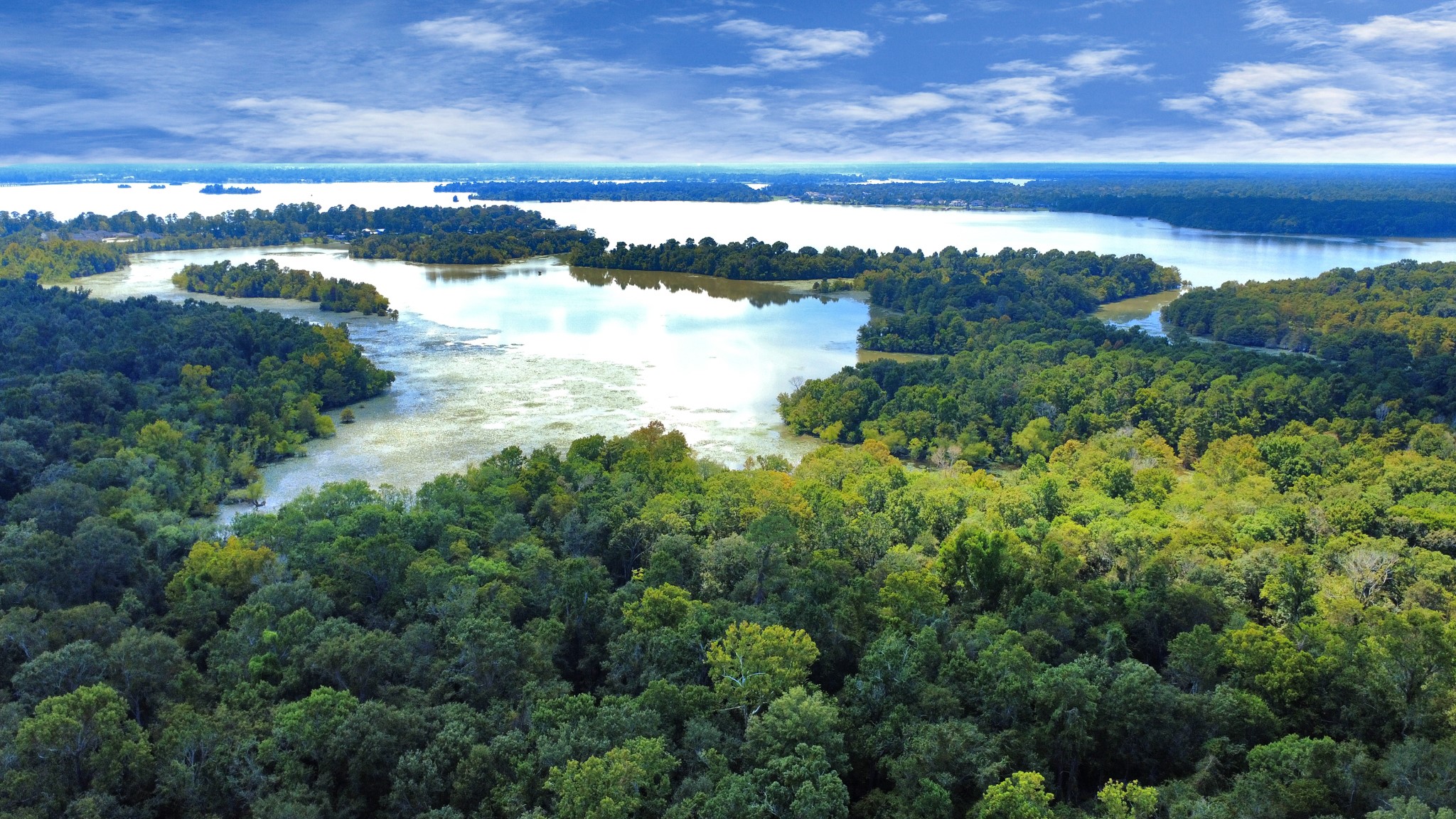 238 Waterfall Drive Huffman, TX 77336 - Photo 9 of 41