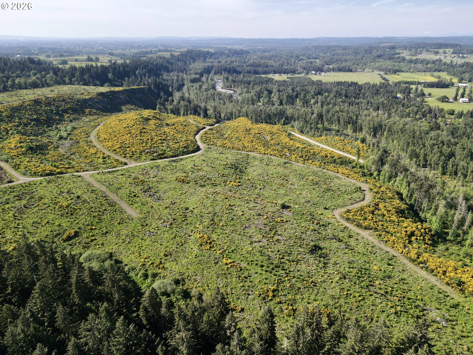 South Ellis Road Molalla, OR 97038 - Photo 6 of 19