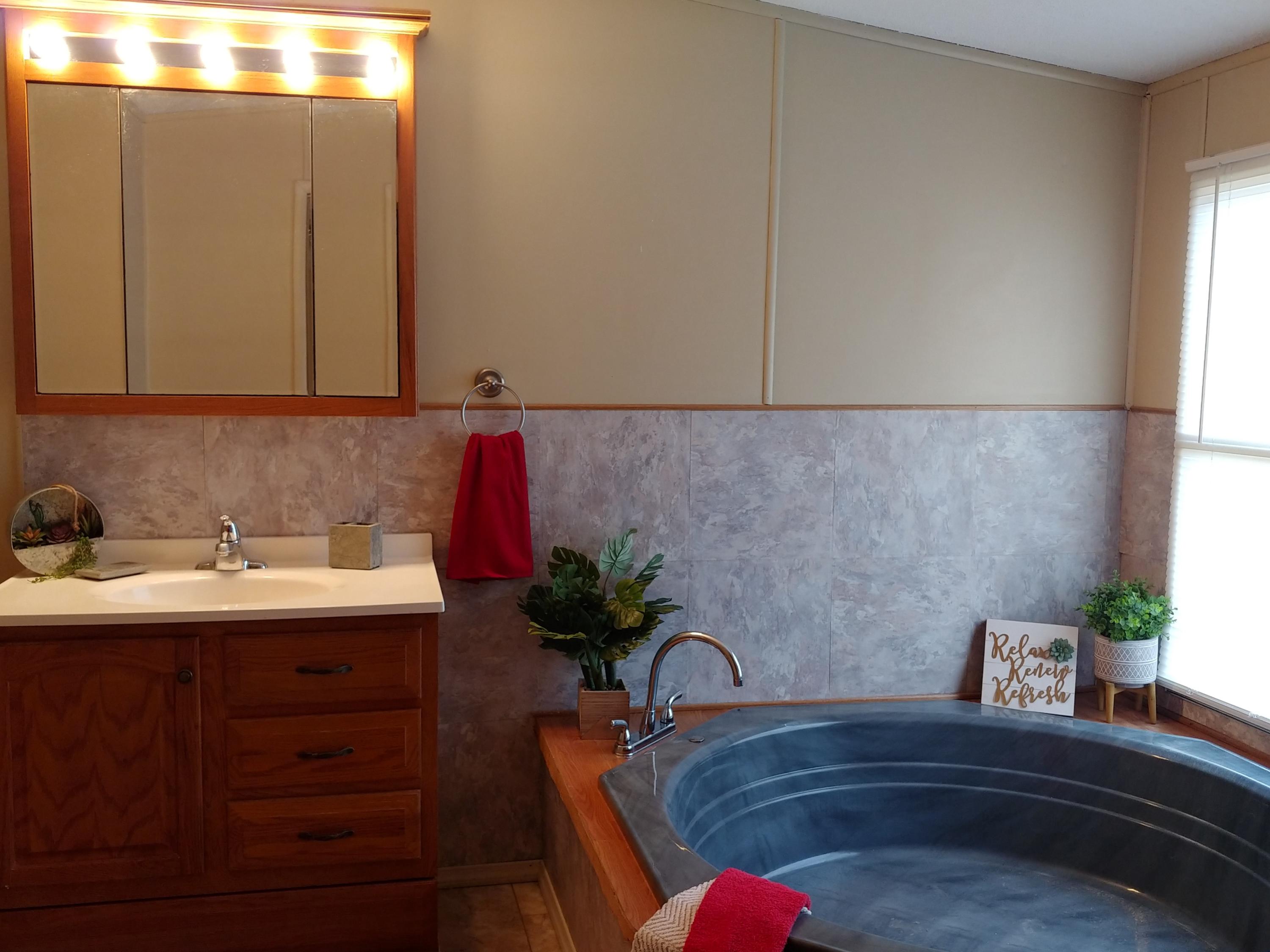 1241 Hickory Tree Road Bristol, TN 37620 - Photo 14 of 19 SOAKER TUB