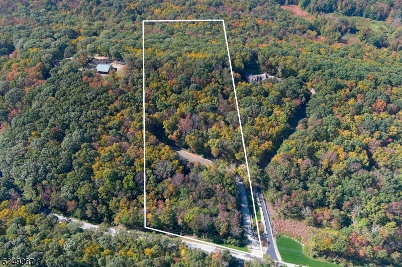 93 Moore Road Wantage, NJ 07461 - Photo 12 of 25 a view of a forest