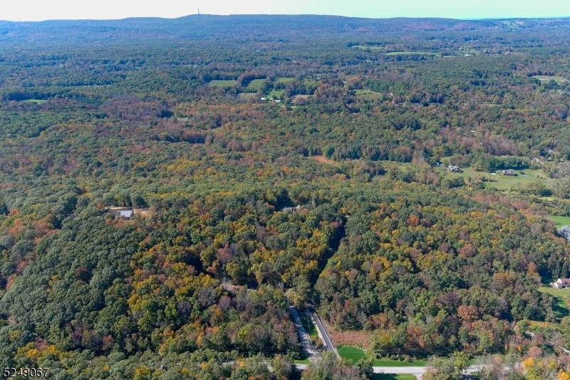 93 Moore Road Wantage, NJ 07461 - Photo 13 of 25 an aerial view of forest