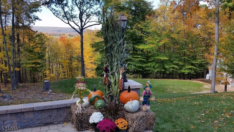 93 Moore Road Wantage, NJ 07461 - Photo 17 of 25 a backyard of a house with lots of green space