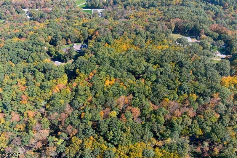 93 Moore Road Wantage, NJ 07461 - Photo 5 of 25 a view of a house with a lush green forest