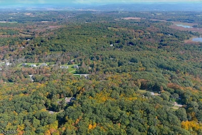 93 Moore Road Wantage, NJ 07461 - Photo 6 of 25 an aerial view of forest