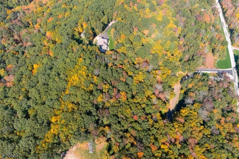 93 Moore Road Wantage, NJ 07461 - Photo 9 of 25 a view of a tree