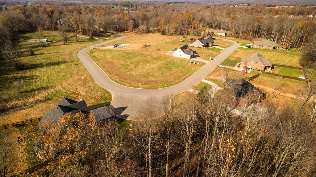 4355 Memory Lane Adams, TN 37010 - Photo 4 of 12 Gallery Image 4