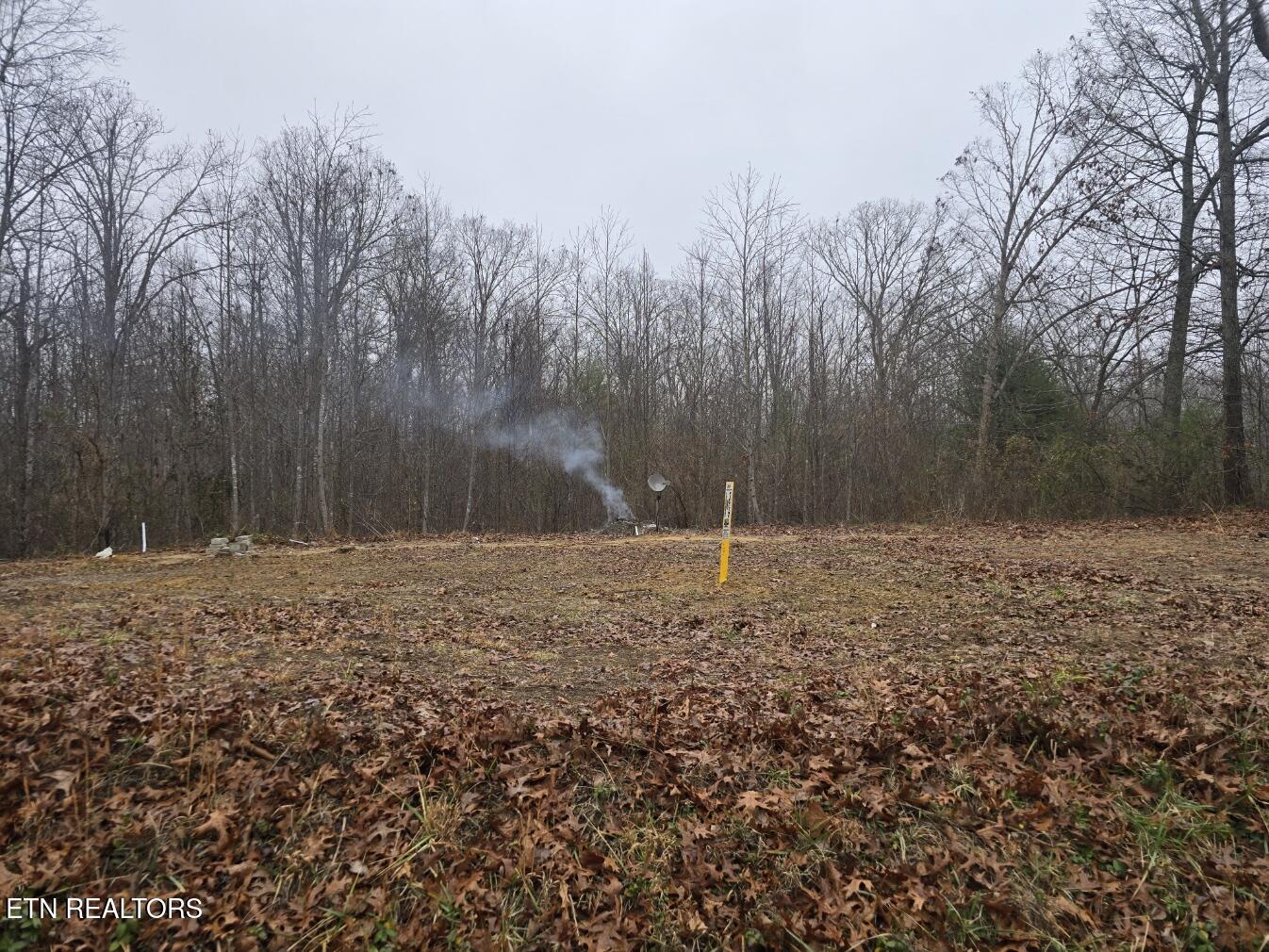 1496 Rome Road Sunbright, TN 37872 - Photo 5 of 9 20260106_142552