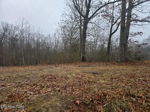 $55,000 | 1496 Rome Road, Sunbright, TN 37872