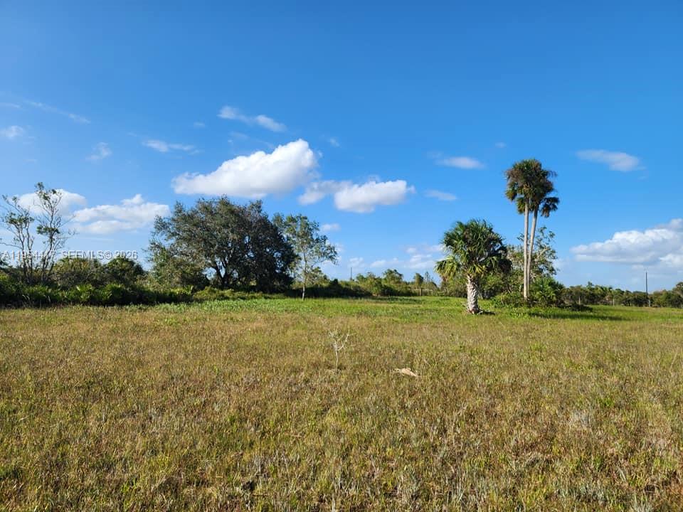 18717 Northwest 258th Street Okeechobee, FL 34972 - Photo 2 of 17