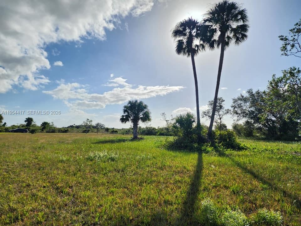 18717 Northwest 258th Street Okeechobee, FL 34972 - Photo 7 of 17