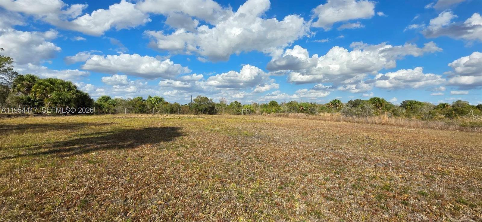 18717 Northwest 258th Street Okeechobee, FL 34972 - Photo 8 of 17