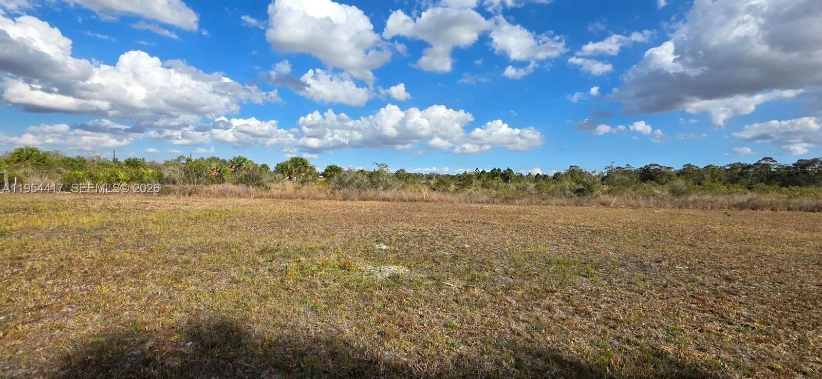 18717 Northwest 258th Street Okeechobee, FL 34972 - Photo 10 of 17