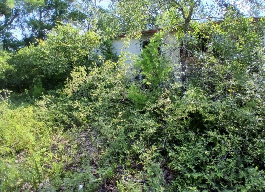 20680 Spoon Bill Road Perry, FL 32348 - Photo 2 of 7 Gallery Image 2