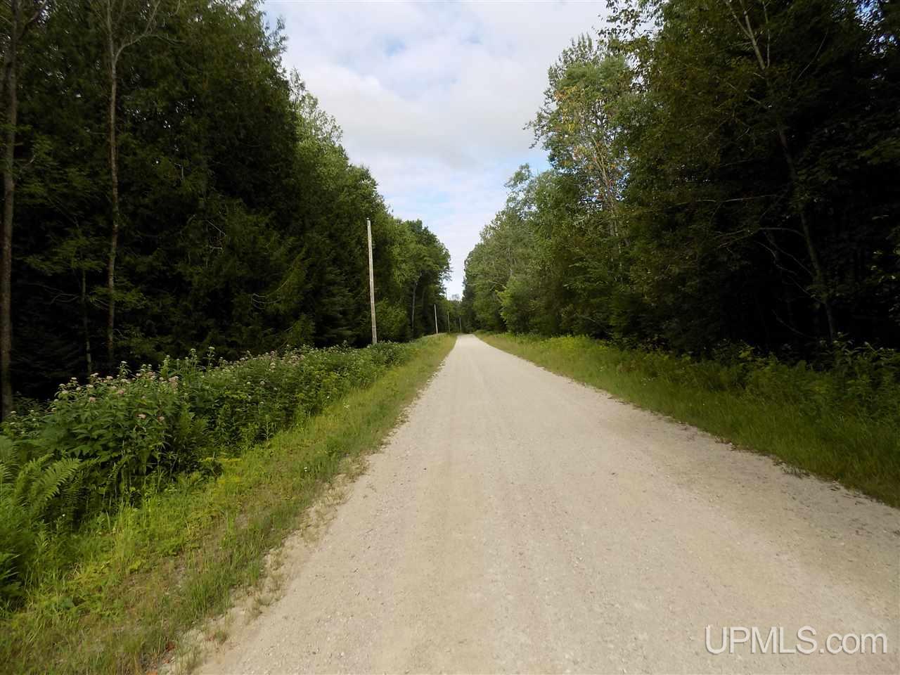 Tbd Barker Road Gulliver, MI 49840 - Photo 6 of 7 Gallery Image 6