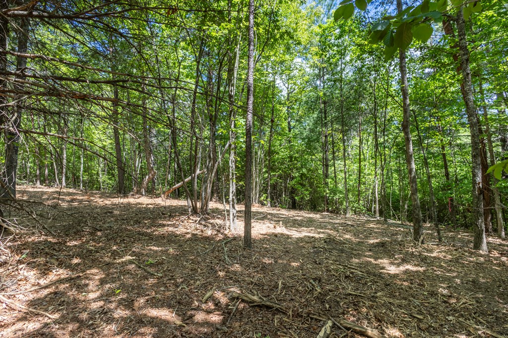 4.0-acre Donley Road Murphy, NC 28906 - Photo 6 of 15