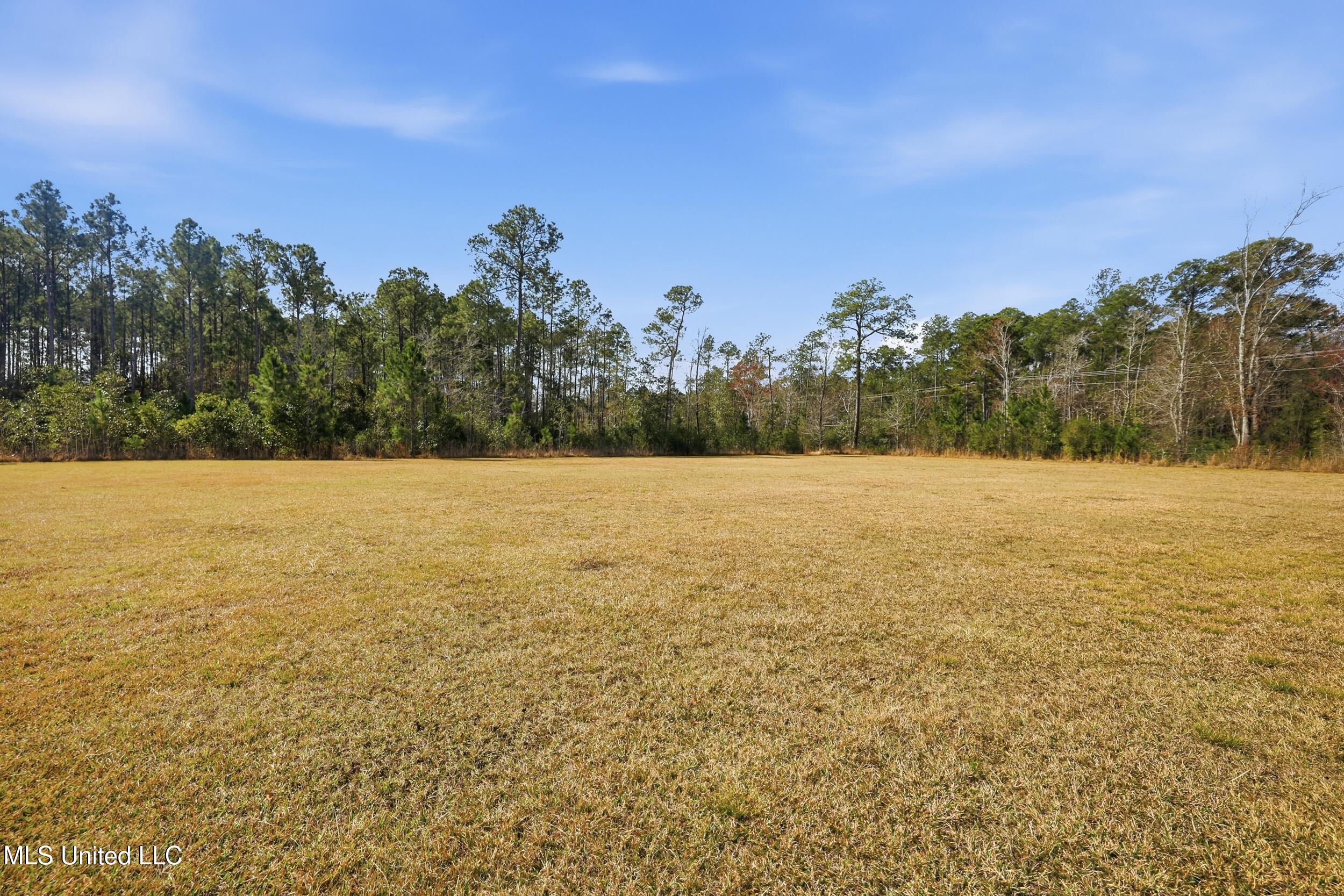 9302 Seaman Road Vancleave, MS 39565 - Photo 19 of 60 r6__9626